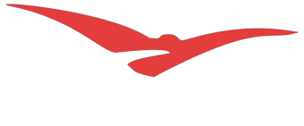 Nyski Klub Biznesu Logo